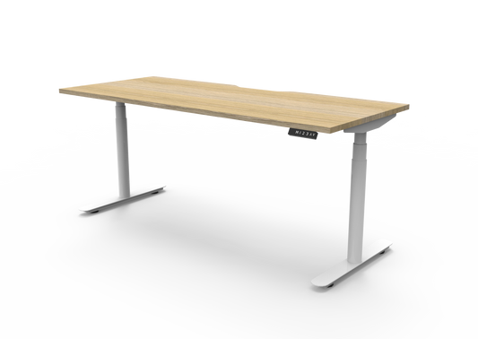 ErgoPro Sit Stand Desk - Oak & White