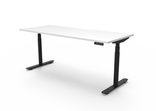 ErgoPro Sit Stand Desk - White & Black