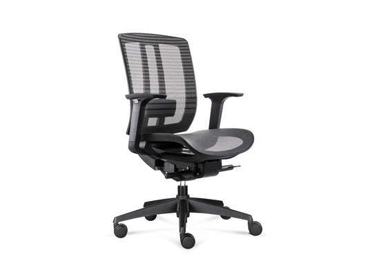 ErgoLuxe BM Office Chair