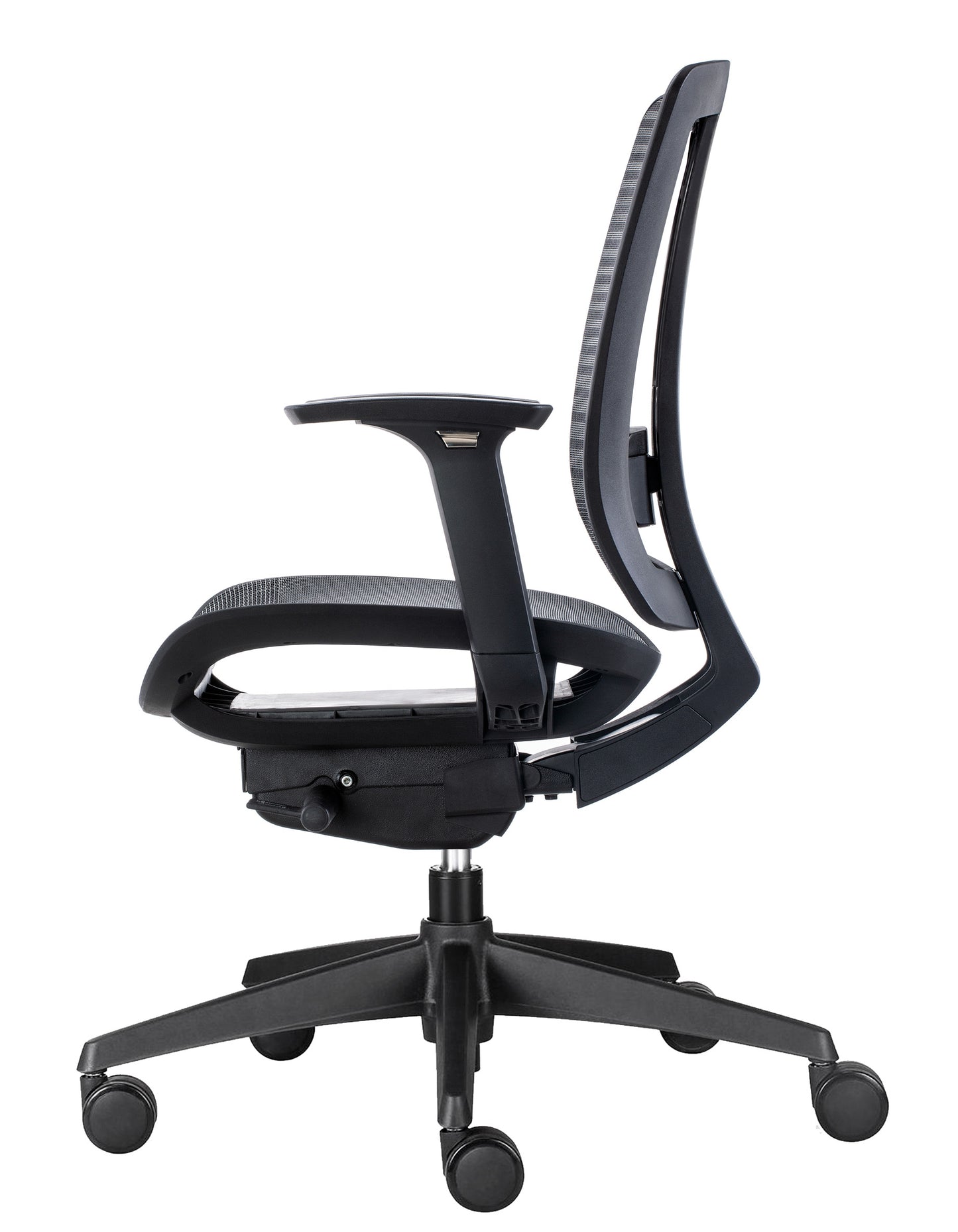 ErgoLuxe BM Office Chair