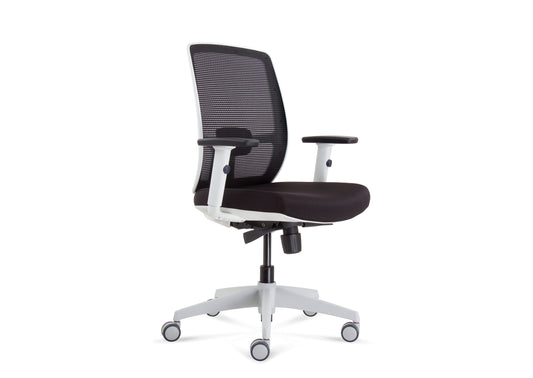 ErgoLuxe WM Office Chair