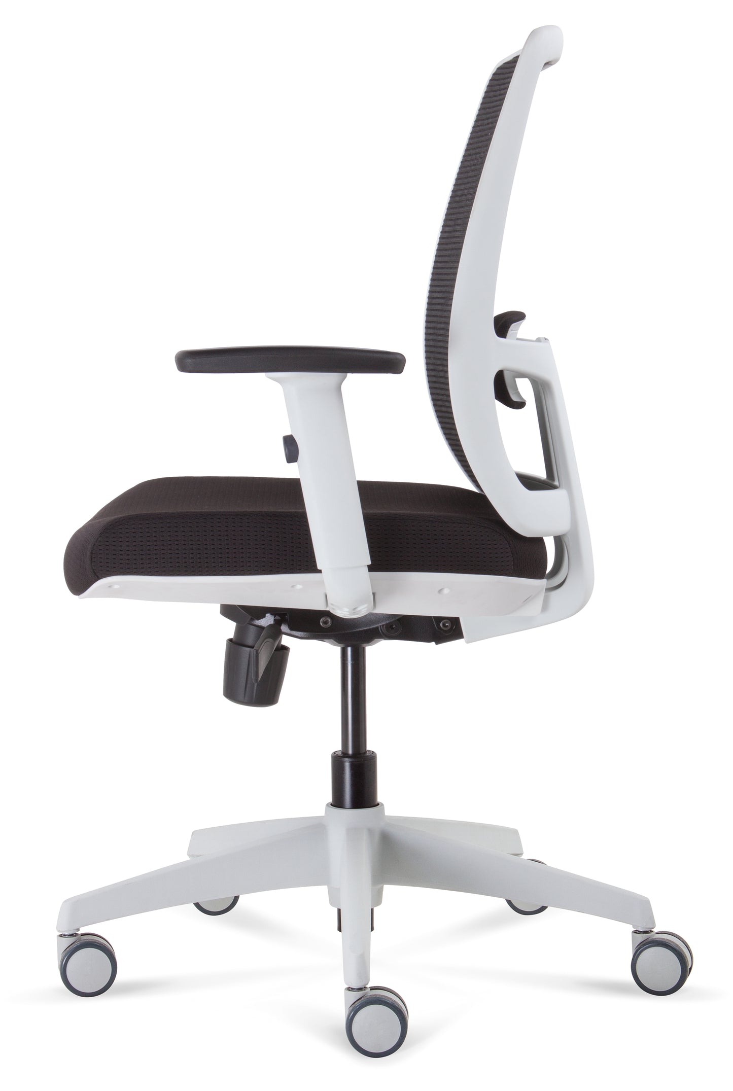ErgoLuxe WM Office Chair