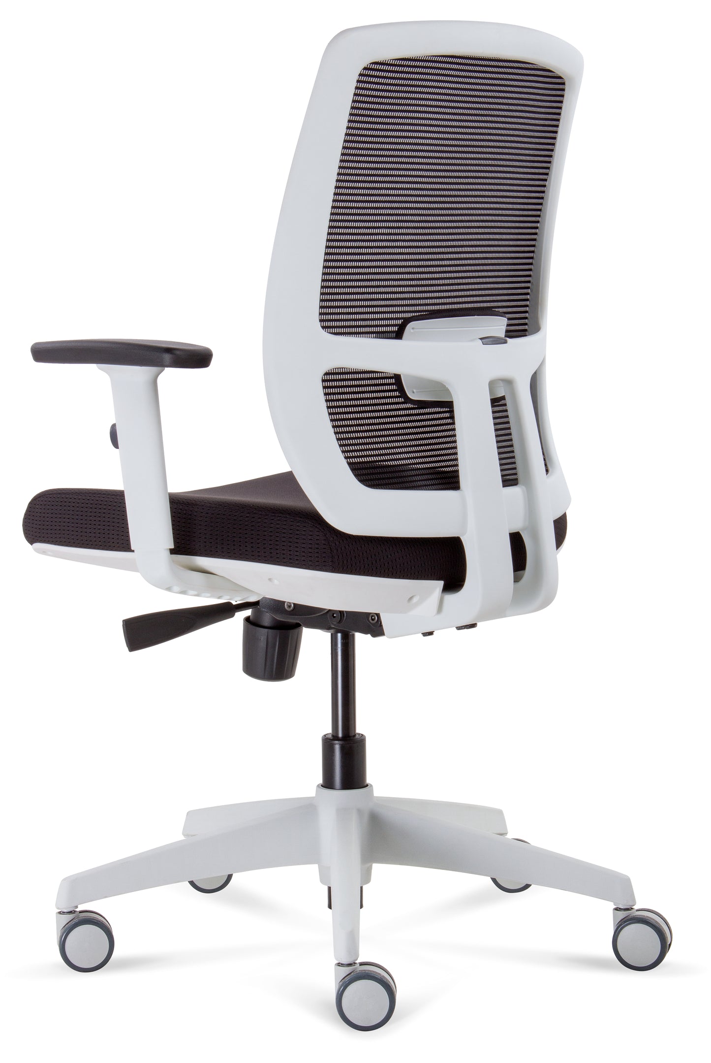 ErgoLuxe WM Office Chair