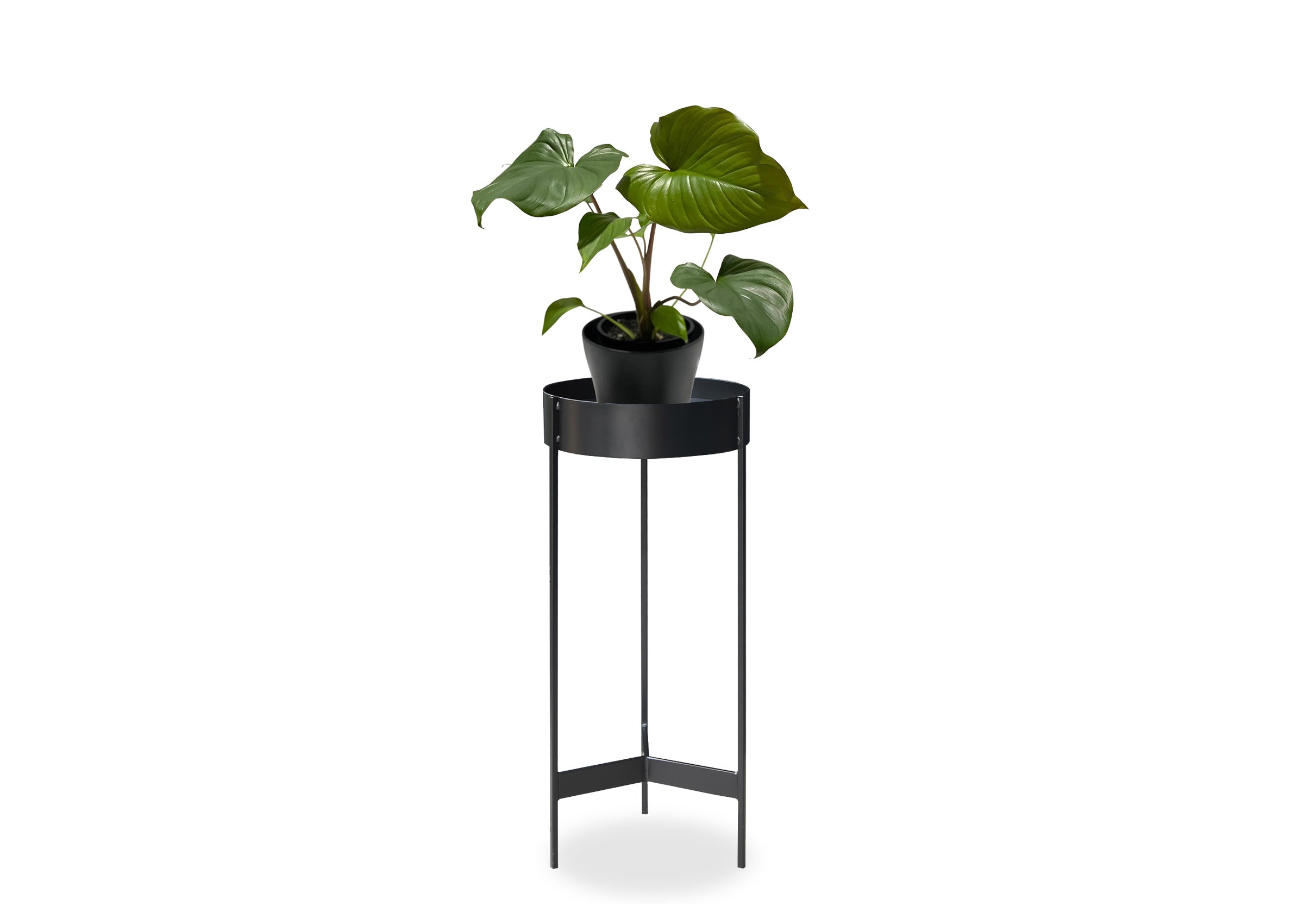 Argos deals plant table