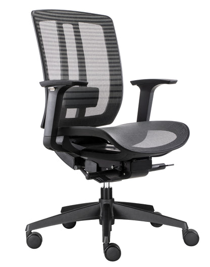 ErgoLuxe BM Office Chair