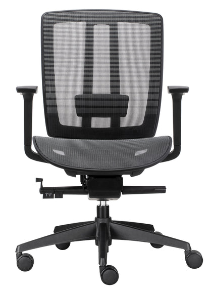 ErgoLuxe BM Office Chair