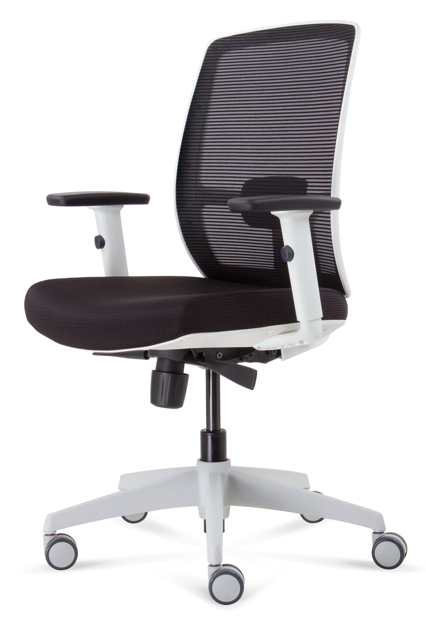ErgoLuxe WM Office Chair